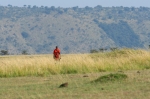 Masai approaching