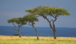 Endless space on the Mara