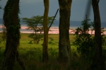 Early evening L Nakuru