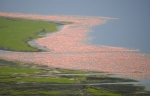 Lake Nakuru and flamingoes