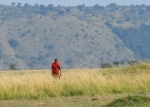 Masai on the Mara plain