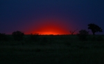 Mara  sunset