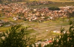 Rice Fields outside Tana