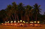 Palm trees at Anjajavy